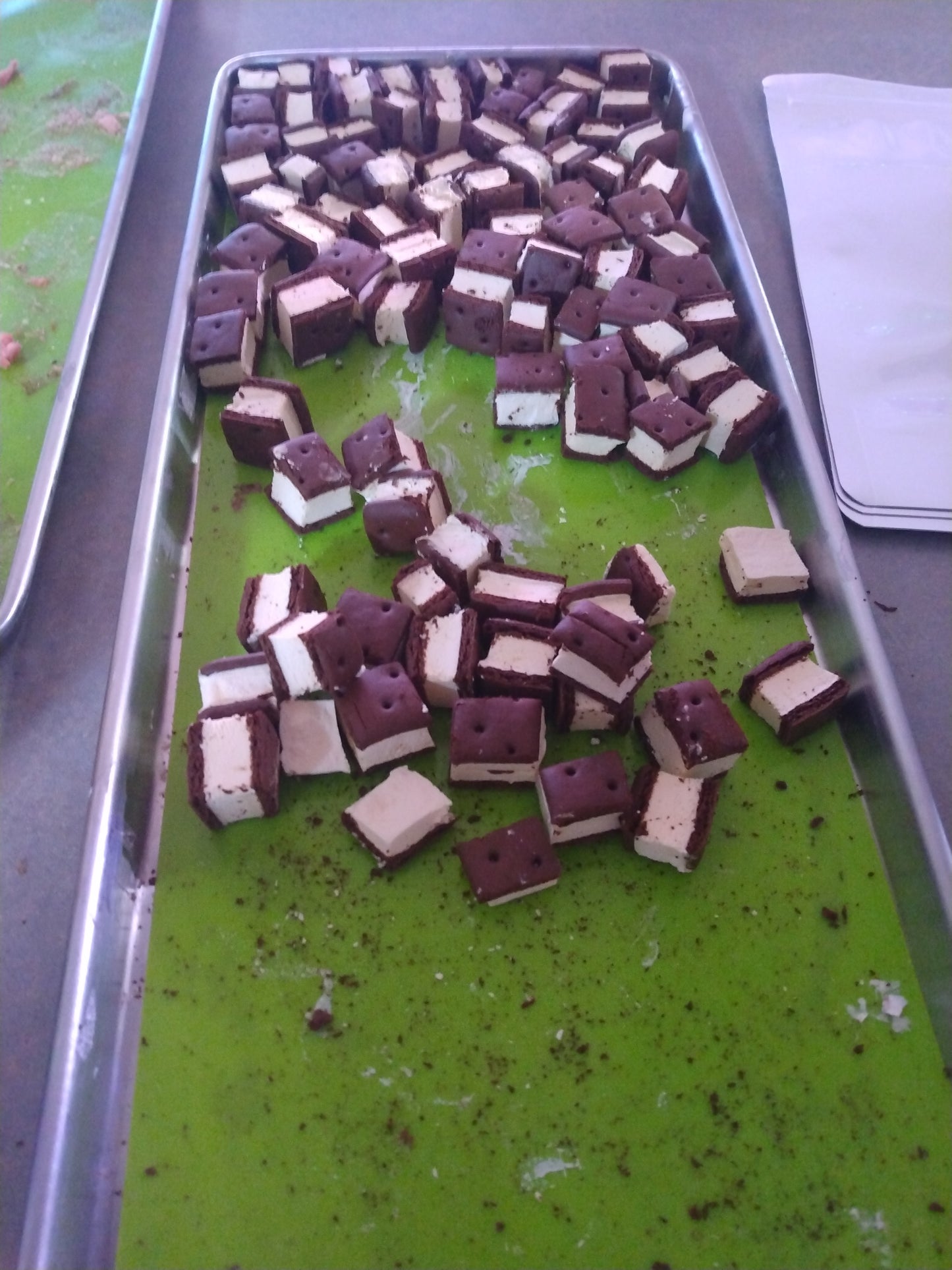 Freeze dried ice cream sandwiches