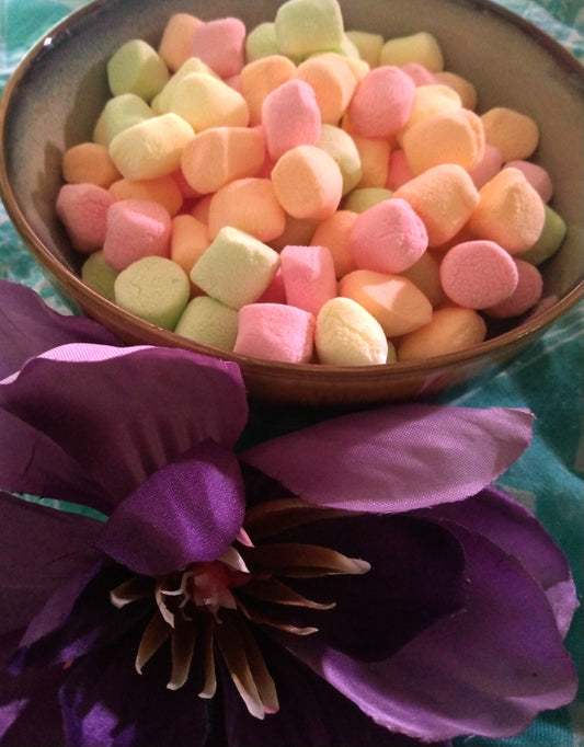 Freeze dried flavored marshmallows